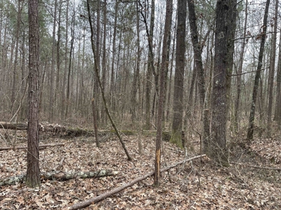 Country Home Fixer Upper With Storage For Sale In Tennessee - image 32