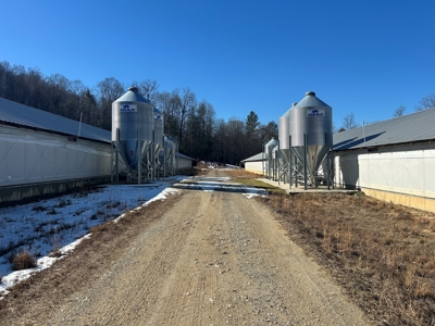 4 House Poultry Farm For sale in NC/Egg Farm for Sale in NC - image 6