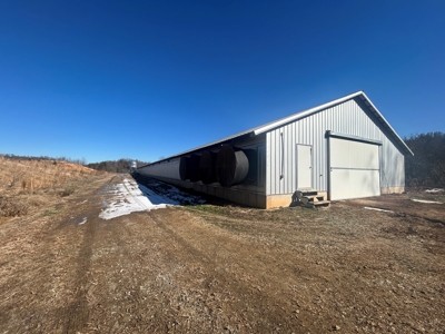 4 House Poultry Farm For sale in NC/Egg Farm for Sale in NC - image 9