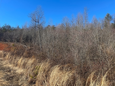 4 House Poultry Farm For sale in NC/Egg Farm for Sale in NC - image 2
