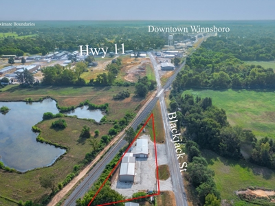 Winnsboro Wood County Texas - Commercial Property For Sale - image 4