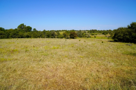 Tr 7 of 16 No Res Auction 160 Ac +/- Cattle Ranch w/ Ponds - image 3