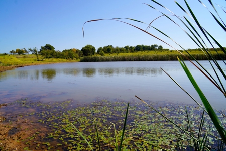 Tr 7 of 16 No Res Auction 160 Ac +/- Cattle Ranch w/ Ponds - image 9