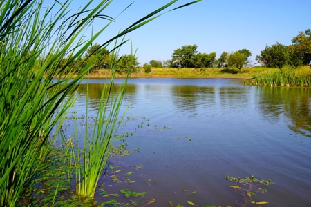Tr 7 of 16 No Res Auction 160 Ac +/- Cattle Ranch w/ Ponds - image 13