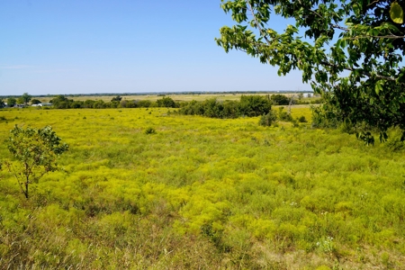 Tr 7 of 16 No Res Auction 160 Ac +/- Cattle Ranch w/ Ponds - image 4