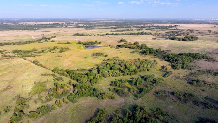 Tr 7 of 16 No Res Auction 160 Ac +/- Cattle Ranch w/ Ponds - image 8