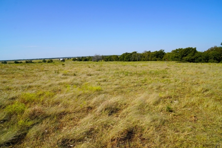Tr 7 of 16 No Res Auction 160 Ac +/- Cattle Ranch w/ Ponds - image 1