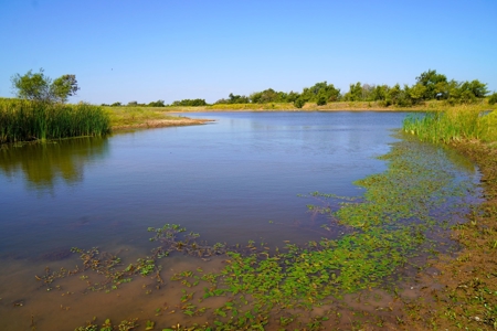 Tr 7 of 16 No Res Auction 160 Ac +/- Cattle Ranch w/ Ponds - image 11