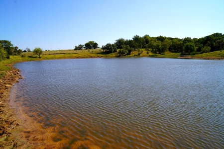 Tr 7 of 16 No Res Auction 160 Ac +/- Cattle Ranch w/ Ponds - image 10