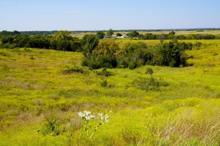 Tr 7 of 16 No Res Auction 160 Ac +/- Cattle Ranch w/ Ponds - image 12