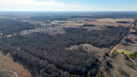 Tr 13 of 16 No Reserve Auction 80 Ac +/- Recreational Land - image 6