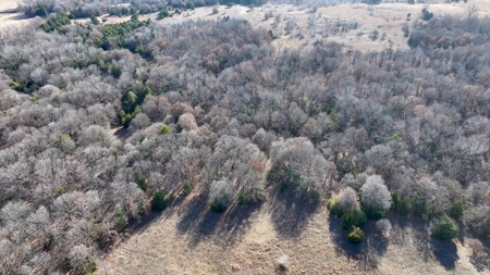 Tr 13 of 16 No Reserve Auction 80 Ac +/- Recreational Land - image 7