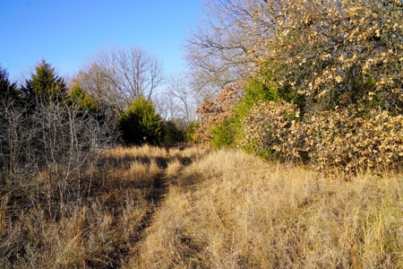 Tr 13 of 16 No Reserve Auction 80 Ac +/- Recreational Land - image 4