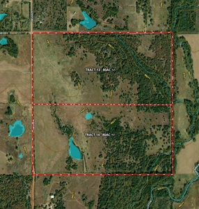 Tr 13 of 16 No Reserve Auction 80 Ac +/- Recreational Land - image 2