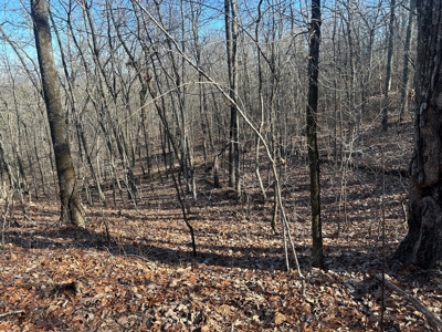 40 acres of hardwood timber in Talladega - image 16