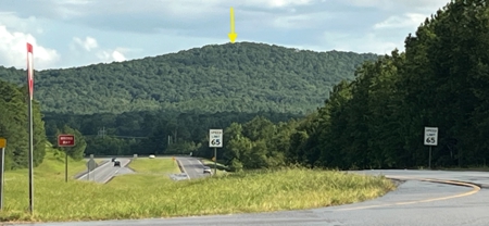 40 acres of hardwood timber in Talladega - image 40
