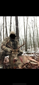 40 acres of hardwood timber in Talladega - image 39