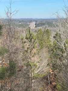 40 acres of hardwood timber in Talladega - image 33