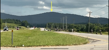 40 acres of hardwood timber in Talladega - image 41