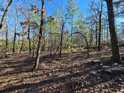 Country Homesite - National Forest Area - image 12