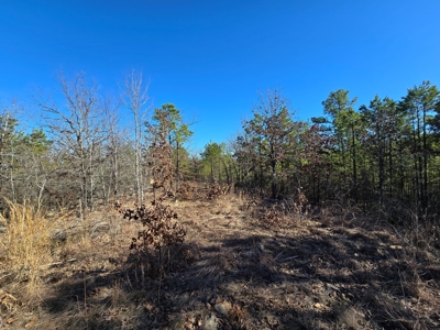 Country Homesite - National Forest Area - image 9