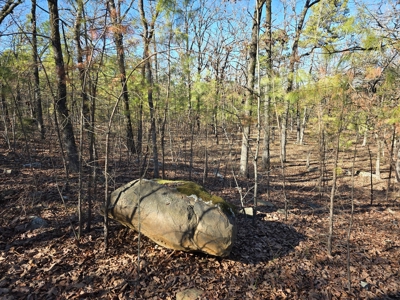 Country Homesite - National Forest Area - image 16