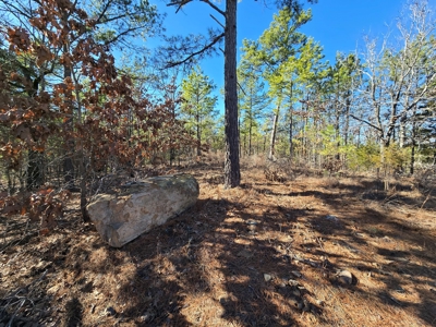 Country Homesite - National Forest Area - image 18