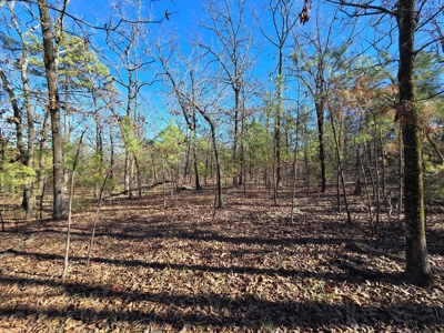 Country Homesite - National Forest Area - image 14