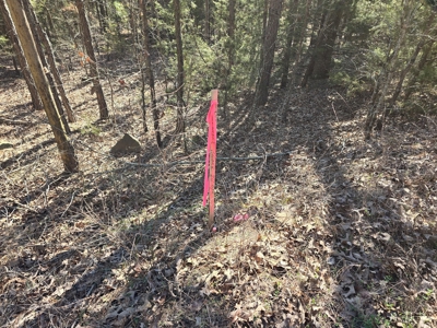 Country Homesite - National Forest Area - image 6