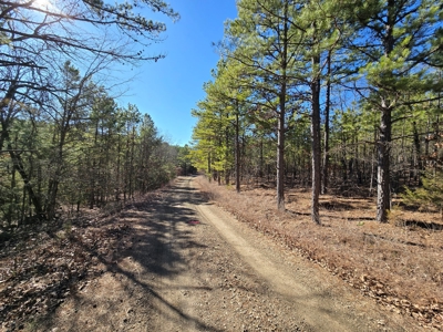 Country Homesite - National Forest Area - image 4