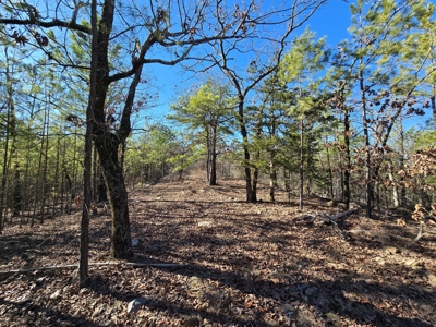 Country Homesite - National Forest Area - image 3