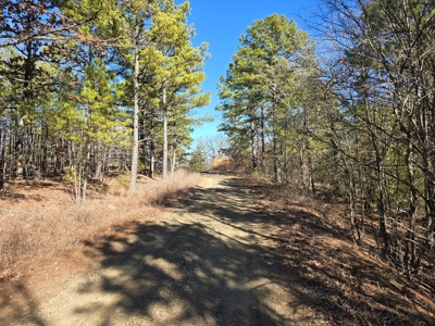 Country Homesite - National Forest Area - image 11