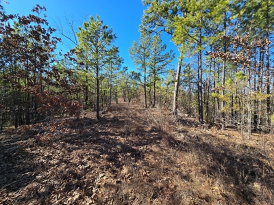 Country Homesite - National Forest Area - image 7