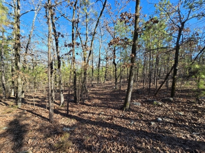Country Homesite - National Forest Area - image 10