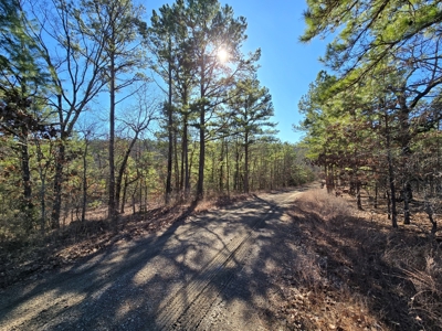 Country Homesite - National Forest Area - image 5