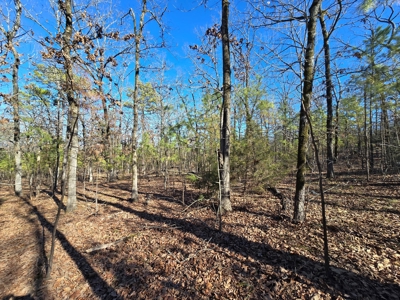 Country Homesite - National Forest Area - image 13