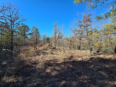 Country Homesite - National Forest Area - image 8
