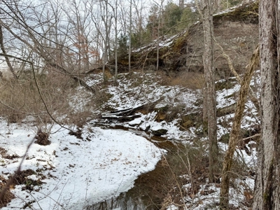 St. Clair County 80 Acre Recreational Property, Osceola, MO - image 33