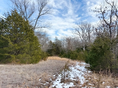 St. Clair County 80 Acre Recreational Property, Osceola, MO - image 19