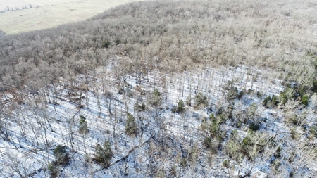 St. Clair County 80 Acre Recreational Property, Osceola, MO - image 48