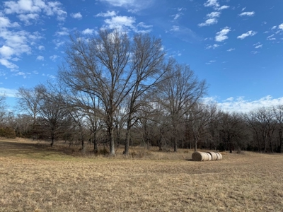St. Clair County 80 Acre Recreational Property, Osceola, MO - image 6