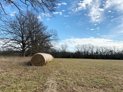 St. Clair County 80 Acre Recreational Property, Osceola, MO - image 7