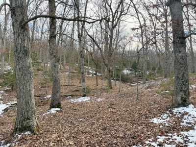 St. Clair County 80 Acre Recreational Property, Osceola, MO - image 21