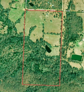 St. Clair County 80 Acre Recreational Property, Osceola, MO - image 3