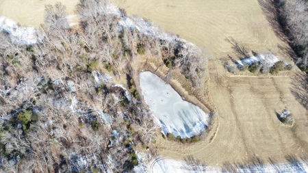 St. Clair County 80 Acre Recreational Property, Osceola, MO - image 44