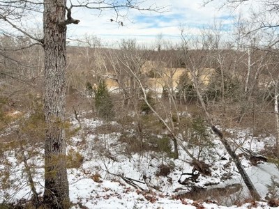 St. Clair County 80 Acre Recreational Property, Osceola, MO - image 27