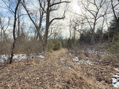 St. Clair County 80 Acre Recreational Property, Osceola, MO - image 15