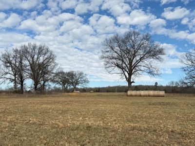 St. Clair County 80 Acre Recreational Property, Osceola, MO - image 8