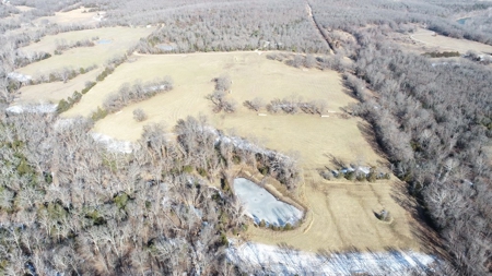 St. Clair County 80 Acre Recreational Property, Osceola, MO - image 45