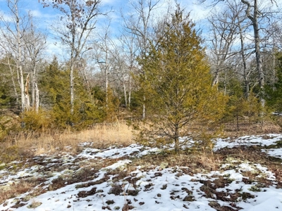 St. Clair County 80 Acre Recreational Property, Osceola, MO - image 20